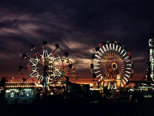 Portfolio Image